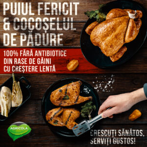 Agricola aduce pe mesele românilor  Pui Fericit și Cocoșel de…