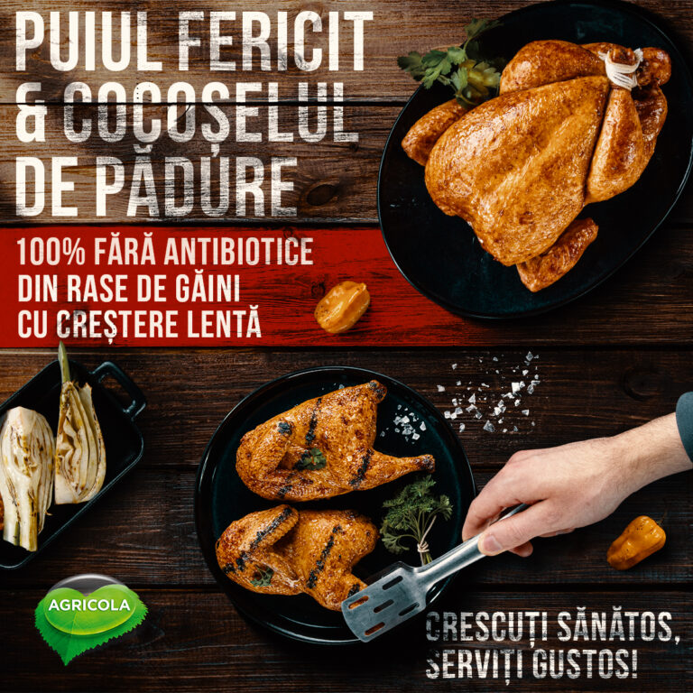 Agricola aduce pe mesele românilor  Pui Fericit și Cocoșel de…